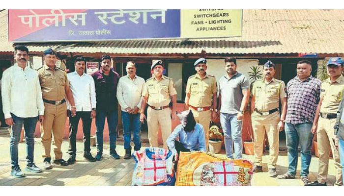 भादे येथील गायकवाड मळा शिवारात गांजाची लागवड करणारा जेरबंद : 2 लाखांचा मुद्देमाल जप्त