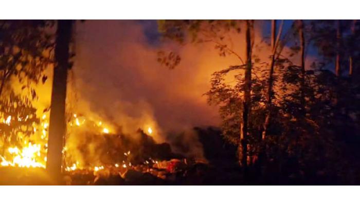 कोरेगावातील नगरपंचायतीच्या कचरा डेपोला भीषण आग; नागरिक व प्रशासनाच्या तातडीच्या प्रयत्नांमुळे आग नियंत्रणात आणण्यात यश