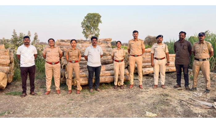 उंब्रज परिसरात तब्बल 25 लाखाचा लाकूड साठा जप्त ; सातारा वनविभागाची उंब्रज, कळंत्रेवाडी, शिवडे, कोर्टी येथे धाड