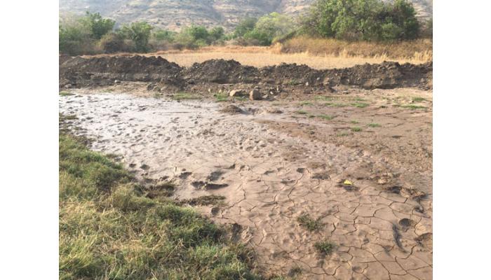 वांगणा उपसा जलसिंचन योजनेच्या जलवाहिनीला पुन्हा गळती; हजारो लिटर पाणी वाया, शेतकऱ्यांची तीव्र नाराजी