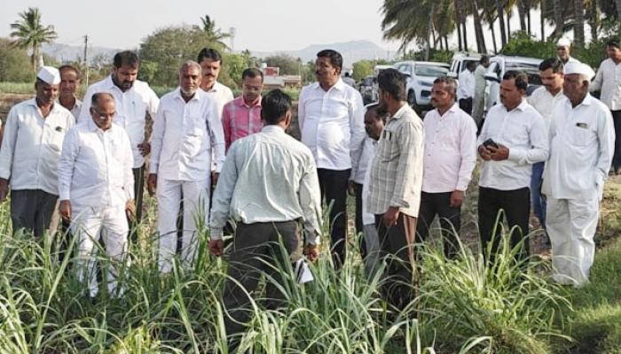 फलटण तालुक्यात अवकाळीने ऊस, मका, कांदा, गहू पिकांसह फळबागांचे मोठे नुकसान; आ. सचिन पाटील यांनी केली पाहणी; तात्काळ पंचनामे करण्याचा आदेश