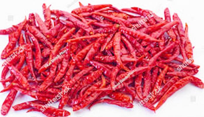 संकेश्वरी मिरचीला इतिहासातील उच्चांकी दर; किलोला १९०० रुपये, दराचा रेकॉर्ड आज मोडला