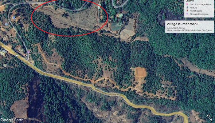 महाबळेश्वर : कुंभरोशीत वनसदृष्य क्षेत्रात झाडांची बेसुमार कत्तल