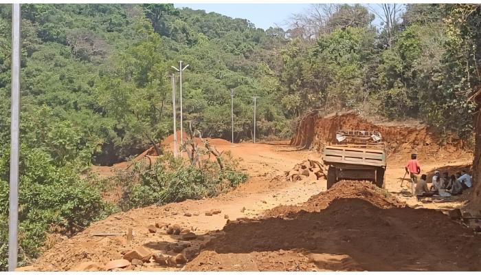महाबळेश्वरात 'कुंपणच खातंय शेत'; तहसीलदारांच्या पाठबळामुळे ३५ एकरांवरील जंगलाची विल्हेवाट
