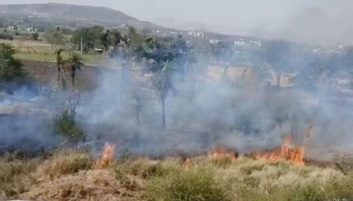 सातारा शहरालगत असलेल्या देशमुख सिटीनजिक आगीचा कहर; अग्निशामक दलाच्या तत्परतेने मोठा अनर्थ टळला