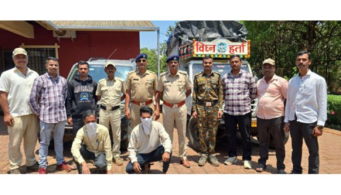 रात्रगस्तीत वनविभागाची कारवाई; खैर लाकूड तस्करीला आळा, केळघरचे दोघे जाळ्यात