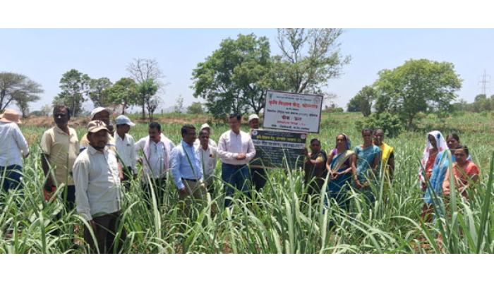 जमीन आरोग्य व्यवस्थापनासाठी एकात्मिक खत व्यवस्थापन आवश्यक : डॉ. संग्राम काळे; शेळकेवाडीत जनजागृती कार्यक्रम