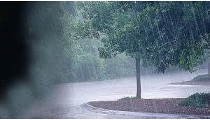 राज्यात ३ दिवस पावसाची शक्यता; २१ रोजी यलो अलर्ट, नागरिकांना खबरदारी घेण्याचे आवाहन