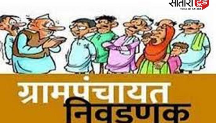 ग्रामपंचायत पोटनिवडणुकीसाठी ६२.५१ टक्के मतदान; वाई तालुका अव्वल, निकालाकडे सर्वांचे लक्ष