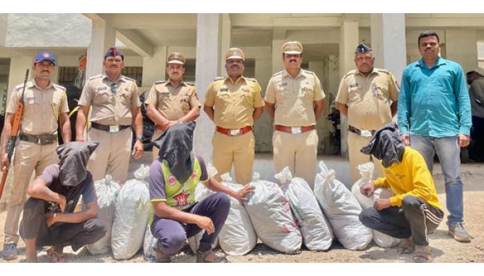 पवनचक्कीमधील तांब्याच्या तारा चोरणारी टोळी जेरबंद; स्थानिक गुन्हे शाखा व पाटण पोलीस ठाण्याची संयुक्त कारवाई