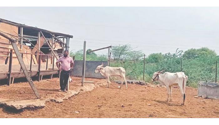तरडगाव परिसरात वादळ आणि वाऱ्यामुळे मोठे नुकसान; भैरवनाथ गोपालन संस्थेच्या गोशाळेचे पत्रे उडाले