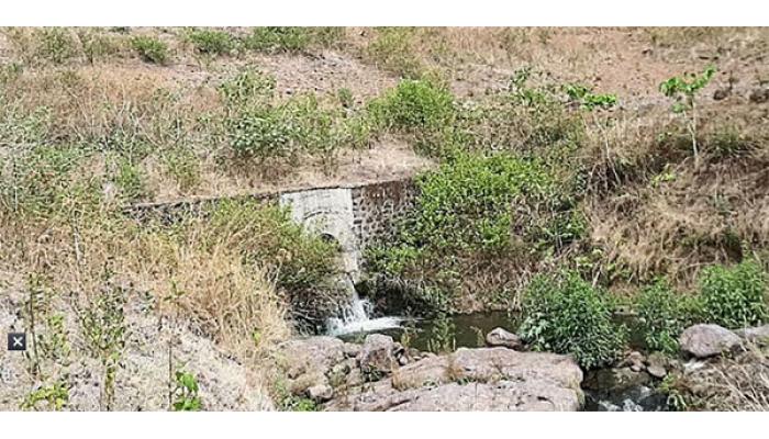 पाटण तालुक्यातील बिबी लघुपाटबंधारे प्रकल्पाला गळती; लाखो लिटर पाणी वाया, जलसंपदाच्या कामाबाबत आश्चर्य