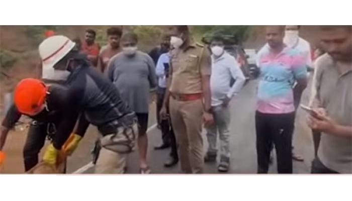अलिबागच्या युवकाने आजीचा खून करुन मृतदेह दरीत फेकला; आंबेनळी घाट पुन्हा चर्चेत, संशयित युवक ताब्यात