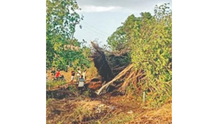 वाई तालुक्याच्या पूर्व भागाला पावसाचा फटका; पाचवड ते वेळे दरम्यानच्या महामार्ग परिसरात मोठे नुकसान
