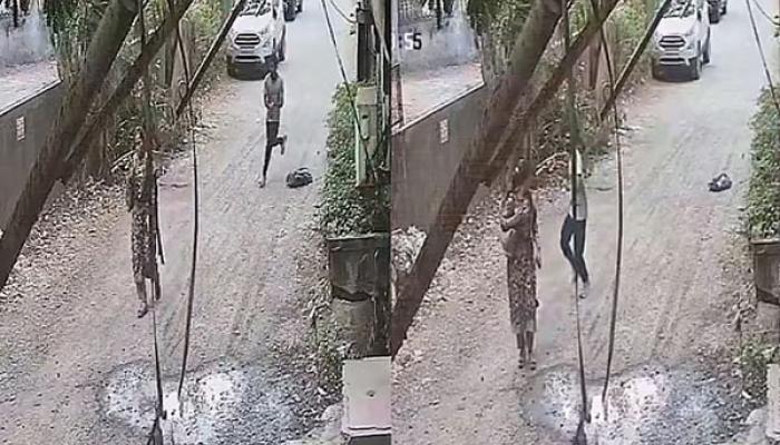 पालघरमध्ये महसूल सहाय्यक तरुणीवर कोयत्याने ८ वार; आरोपी हायकोर्टात शिपाई, तरुणी दहिवडी इथल्या रहिवासी, हल्ल्याची ही घटना सीसीटीव्हीत कैद