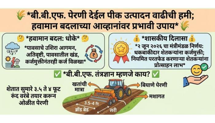बी.बी.एफ.पेरणी देईल पीक उत्पादन वाढीची हमी; हवामान बदलाच्या आव्हानांवर प्रभावी उपाय