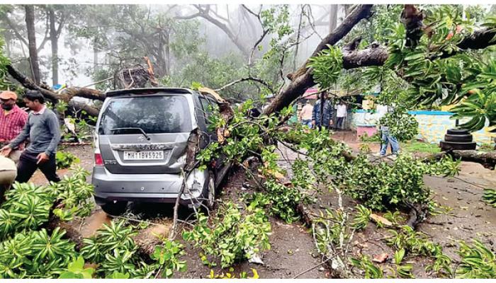 पाचगणी परिसरात अचानक कारवर दोन झाडे व विद्युत तारा कोसळल्&zwj;या; सुदैवाने तरूण बचावला, धोकादायक वृक्षांचा प्रश्&zwj;न ऐरणीवर