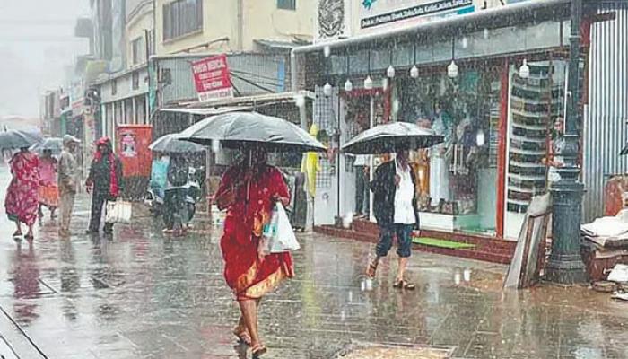 महाबळेश्&zwj;वर परिसरात बुधवारी दिवसभर पावसाची धुवांधार बॅटिंग; १५७.२ मिमी (६.१८ इंच) पावसाची नोंद
