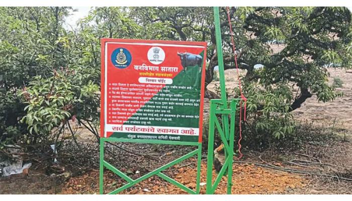 महाबळेश्वरमधील प्रसिद्ध विल्सन पॉइंटवर वनक्षेत्रात प्रवेश करण्यास मनाई; सुरक्षेचा उपाय म्हणून मुख्य प्रवेशद्वार सूर्यास्तानंतर बंद केले जाणार