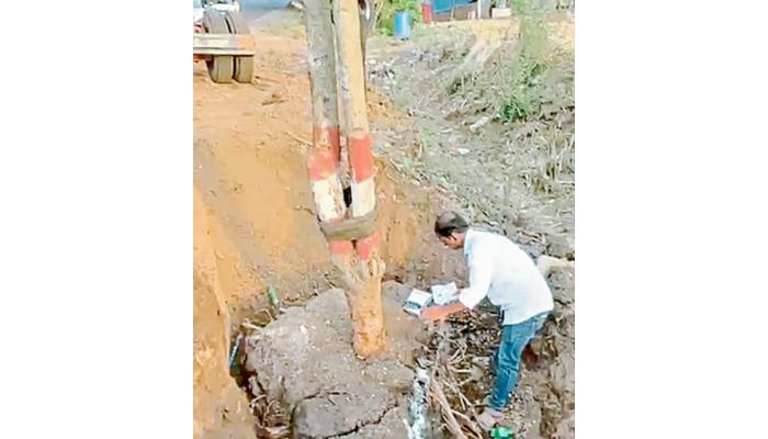 वाई न्यायालयाच्या नवीन इमारतीच्या बांधकामात अडथळा ठरणाऱ्या २८ झाडांना जीवदान ; बांधकाम विभागाच्या यशस्वी उपक्रमाचे पर्यावरणप्रेमींकडून कौतुक