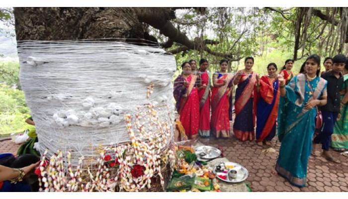 वटपौर्णिमेला पर्यावरणाचा अनोखा संदेश; वडाचे रोप लावून वृक्षसंवर्धनाचा केला संकल्प