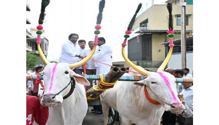 नागरिकांच्या समस्या सोडवण्याचे काम करावे- मंत्री शिवेंद्रसिंहराजे भोसले; सातारा शहरातील विविध विकासकामांची पाहणी, बैलगाडीचा कासरा हातात घेत केले सारथ्य