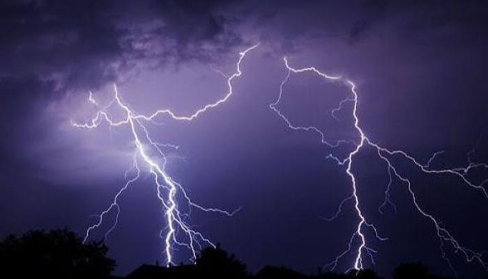 मध्य प्रदेश, बिहारमध्ये वीज कोसळून आठ ठार; एका कुटुंबातील चार जण जखमी