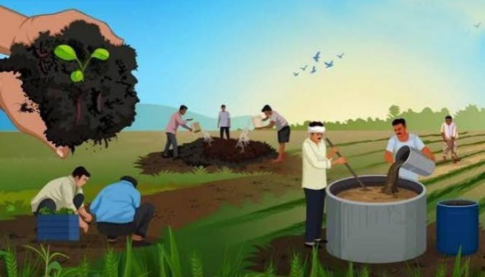 शेतकरी कर्जमुक्तीसाठी नैसर्गिक शेती अभियान ठरत आहे मैलाचा दगड