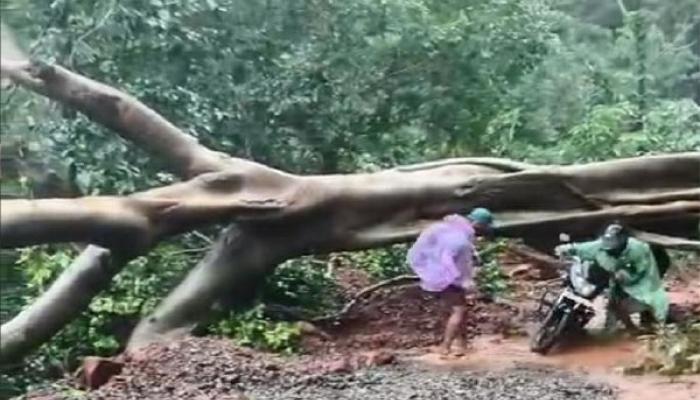 मुसळधार पावसामुळे कांदाटी खोऱ्यातील तब्बल १६ गावांचा संपर्क तुटला; जनजीवन पूर्णपणे विस्कळीत