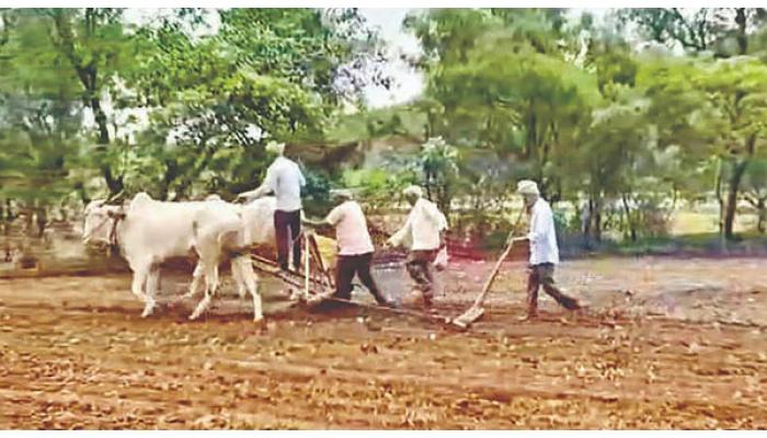 उंब्रजसह परिसरातील ग्रामीण भागात पुन्हा एकदा शेतीची लगबग वाढली; खरीप पेरणीच्या कामांना वेग