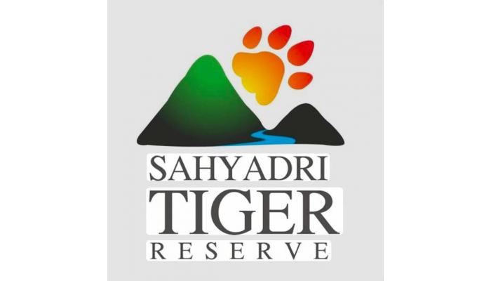 संगमेश्वरच्या 'बामणोली'च्या नावाखाली जावलीत निधी खर्च; सह्याद्री व्याघ्र प्रकल्पाच्या कामकाजावर गंभीर प्रश्नचिन्ह