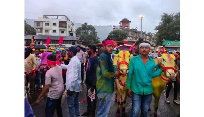 रिमझिम पावसात बेंदराचा उत्साह; जिल्ह्यात बैलांच्या मिरवणुकांनी वेधले लक्ष