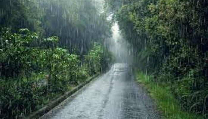 सातारा जिल्ह्यात पावसाची शंभरी पार; सरासरीच्या १०३.४ टक्के वर्षाव