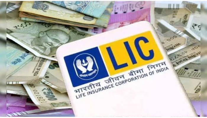केंद्र सरकार LIC मधील मोठा हिस्सा विकणार! ३१,००० कोटी उभारण्याची तयारी; घोषणेनंतर एलआयसीचा शेअर बाजारात ७ टक्क्यांनी आपटला