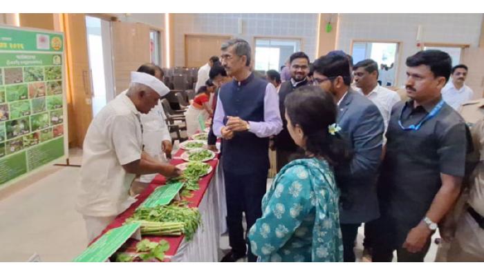 रानभाज्यांचा सन्मान व संवर्धन काळाची गरज - पालकमंत्री शंभूराज देसाई; साताऱ्यात जिल्हास्तरीय रानभाजी महोत्सवाचे उद्घाटन
