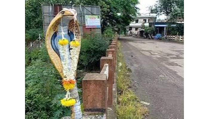 नागपंचमी उत्सवासाठी शिराळा नगरी सज्ज; यावर्षी ४१ जिवंत नागांचे दर्शन होणार,२० सीसीटीव्ही कॅमेरे अन् शेकडो पोलिसांची तैनाती