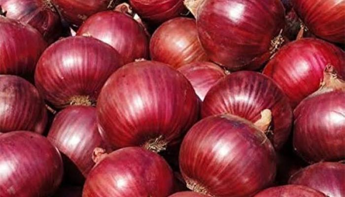 कांद्याची वाढती दरवाढ रोखण्यासाठी केंद्राचा मोठा निर्णय, ३५ रुपये किलो दराने मिळणार कांदा