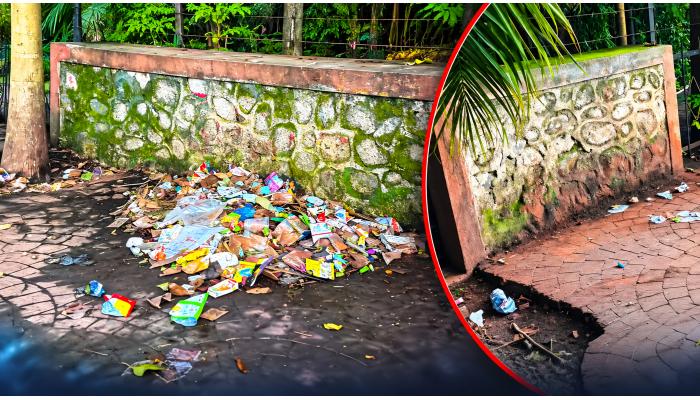 कूपर बंगला ते कनिष्क हॉल रस्त्यावरच भरतोय 'ओपन बार'; साताऱ्यातील 'फळकुटांचा' उपद्रव रोखण्याची मागणी