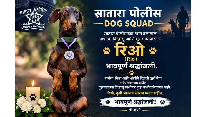 रिओच्या दहा वर्षांच्या सेवेला अखेरचा सलाम; सातारा पोलिसांचा शूर &lsquo;साथीदार&rsquo; हरपला