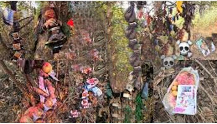 मांढरदेव येथील अघोरी प्रकारांवर कारवाई करा : ग्रामस्थ व भाविकांची मागणी, श्रध्देचा गैरफायदा घेत सोनेरी बाबा व सोनेरी गुरुमांतांकडून भाविकांची लूट