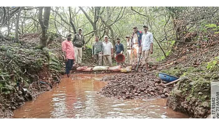 जिल्ह्यातील दहा तालुक्यांत वन्यजीवांसाठी ४०० वनराई बंधारे उभारले; वन विभागाचा पुढाकार,वन्यप्राण्यांसाठी उपाययोजना हाती